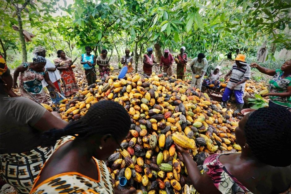 Ghanaian landscape